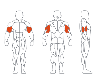 LD1073 高拉背 副本.png LD1073 高拉背 副本.png