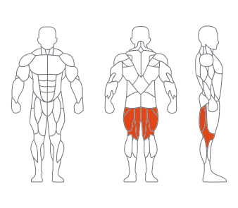 LS-025俯卧曲腿练习器 LS-025俯卧曲腿练习器
