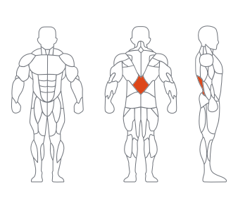 GL-7058坐式背肌练习器(白银) GL-7058坐式背肌练习器(白银)